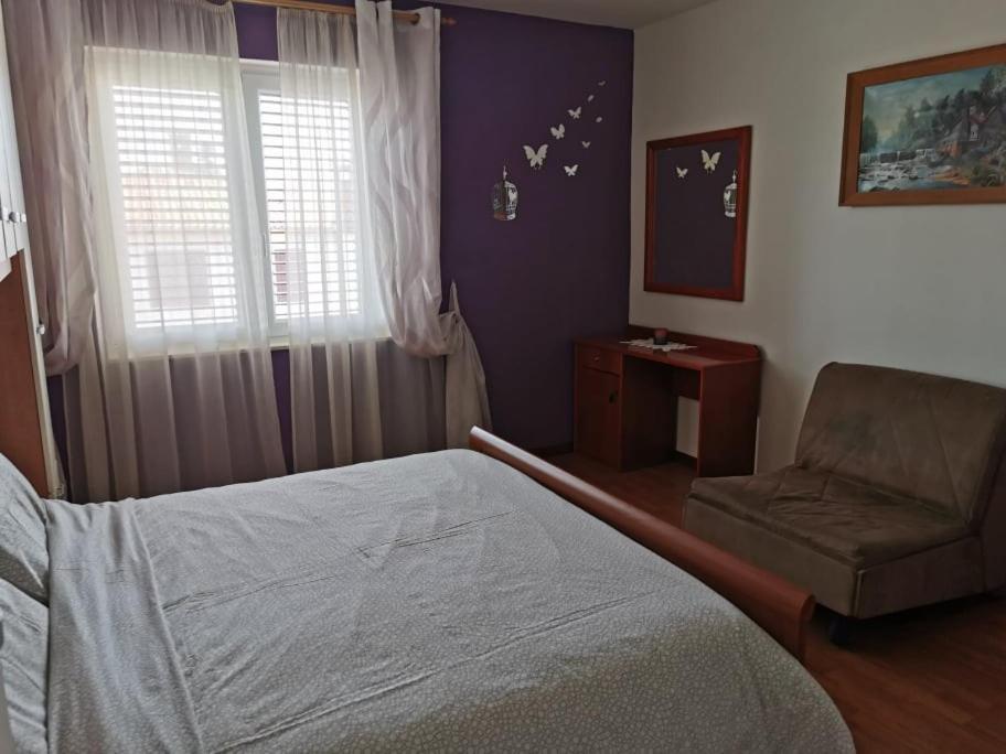 App Palcic K Apartment Novigrad  Exterior photo