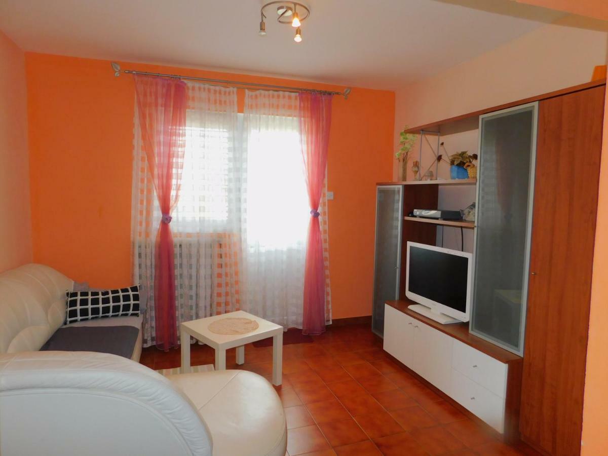 App Palcic K Apartment Novigrad  Exterior photo